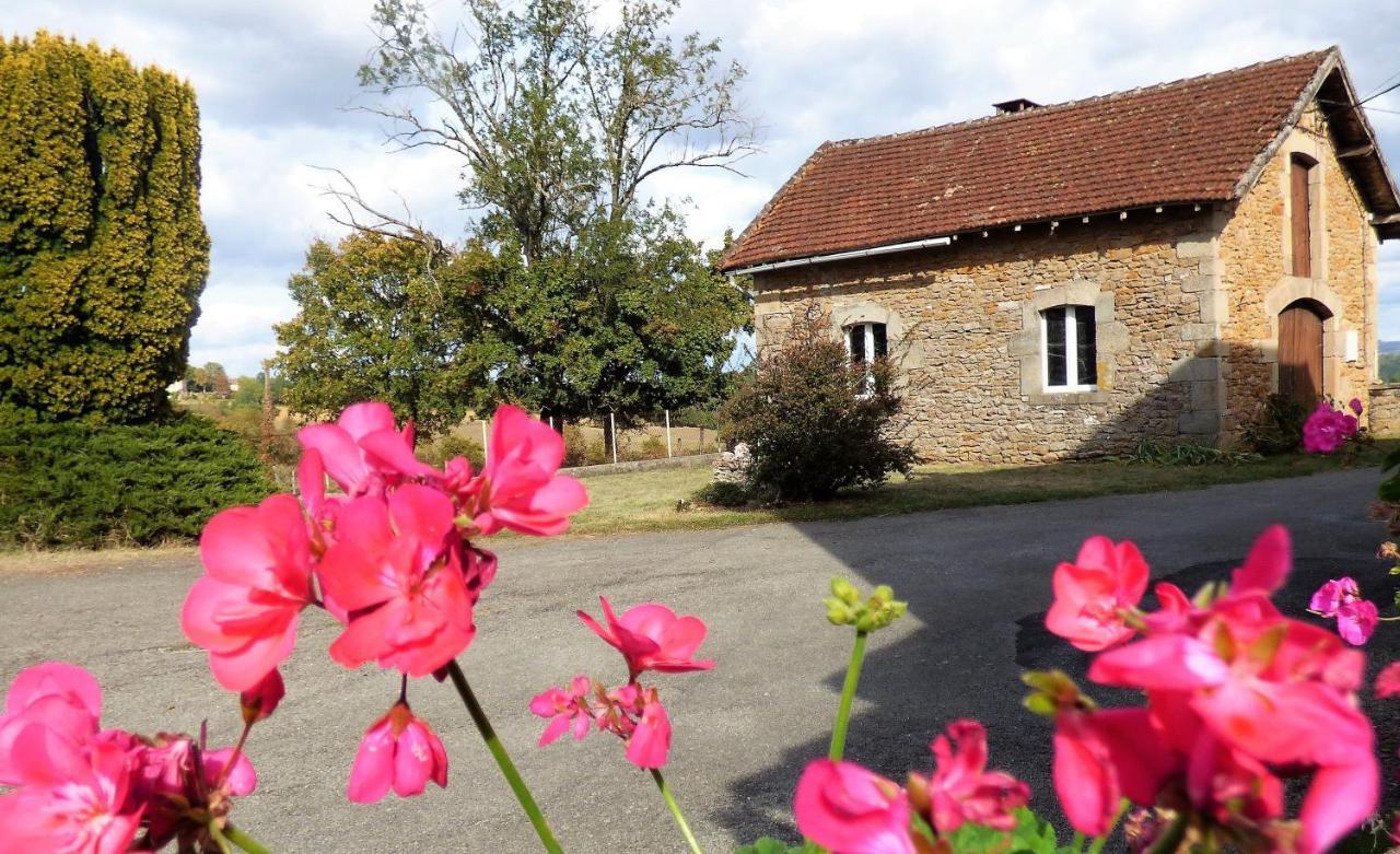 Les Hauts De Malirat Capdenac-Gare Zewnętrze zdjęcie